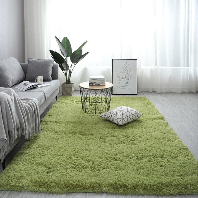 Nordic fluffy carpet rugs for bedroom/living room
